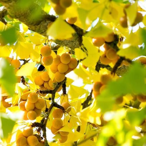 اهنگ حالمو تو که نمیدونی که آسون شه این دوری حالمو تو نمیدونی که منو