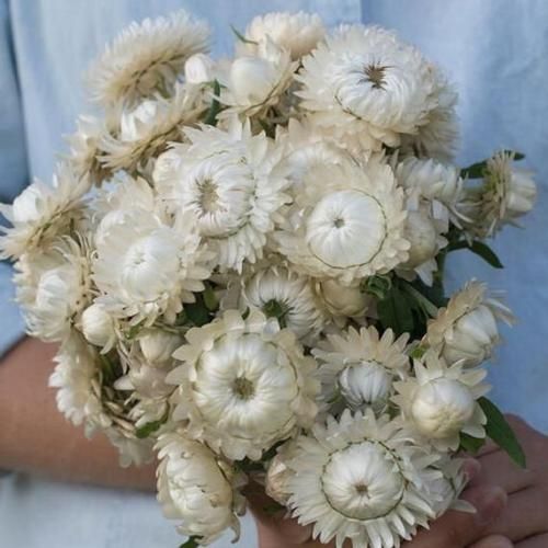 اهنگ با همه تنهاییام از ذهنم برو بیرون من کلی غم دارم دیگه بردی از یادم