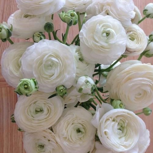 اهنگ (هوش مصنوعی صدای مهستی) توی چشات خیره میشم درگیر چشمای توام