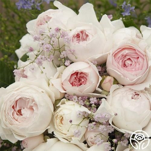 اهنگ بگو هی داره حال میده بهم حسمونم الان عین باربی و کنه