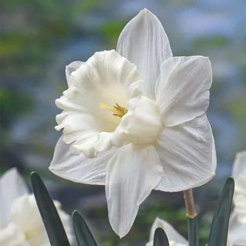 اهنگ  باز هم نشستی رو به روم مات تماشای توام