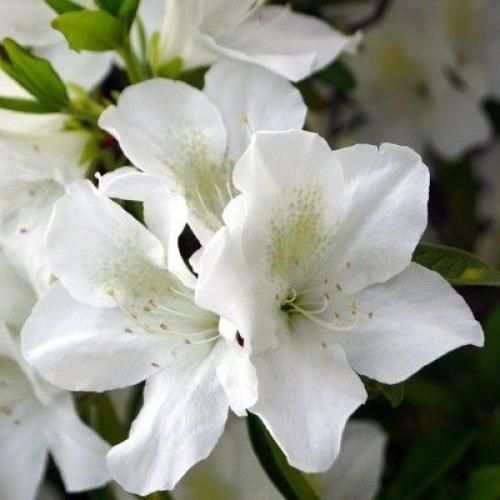 اهنگ دور و بریام فیریک زدن روم که دیگه سمتش نرم ولی من تورو میخوام