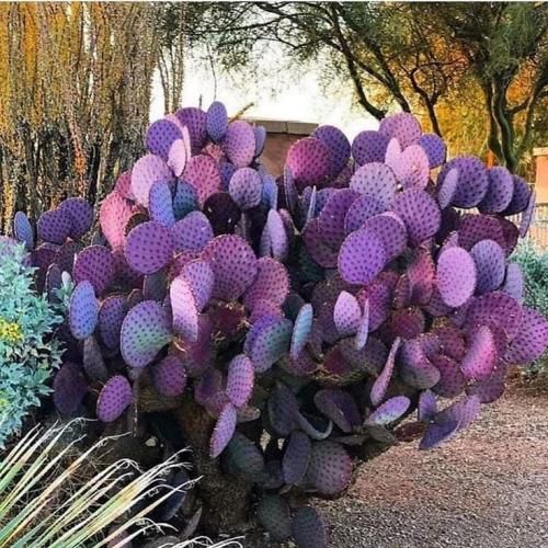 اهنگ بوی تو فرق داره با بوی همه بوره و لخته موی تو یه نمه