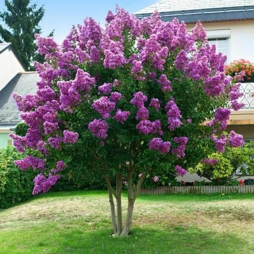 ناشناس دلم تنگ شده بازم زنگ بزن توی دلم حرف پره تو چشمای من ببین