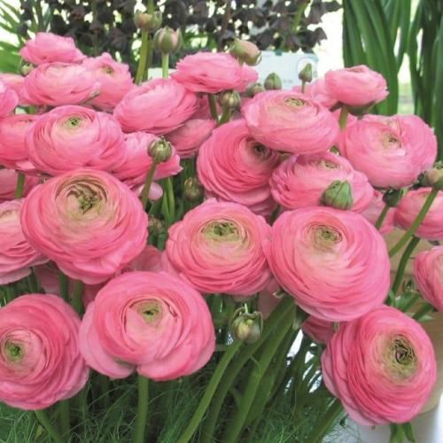 اهنگ خوشحال باش من رفتم دیگه نمیشم سردرد برات فقط ضربه میزنی اشکم دراد
