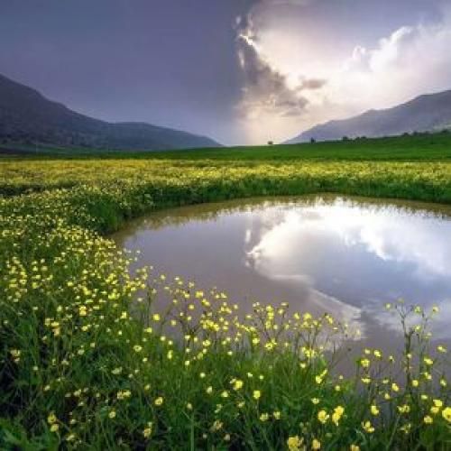 اهنگ دل من دیگه خیلی بجنگ نیست واسه من دیگه هیچی قشنگ نیست