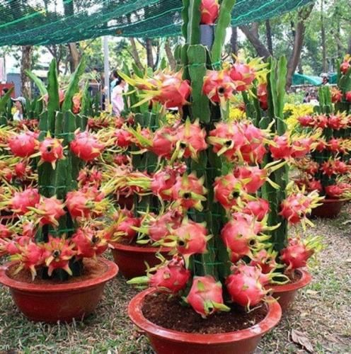اهنگ آخرش نفهمیدم عشق خوبه یا بد دل کندن سخته یا دل بستن راحت
