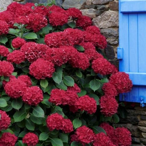 اهنگ نپرس از حال داغونمو چشمای کبودم میدونی من دیوونم میدونی من حسودم
