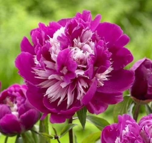 اهنگ یه روز میای بالا سر قبرم میگی چرا الان ولی دیگه رفتم
