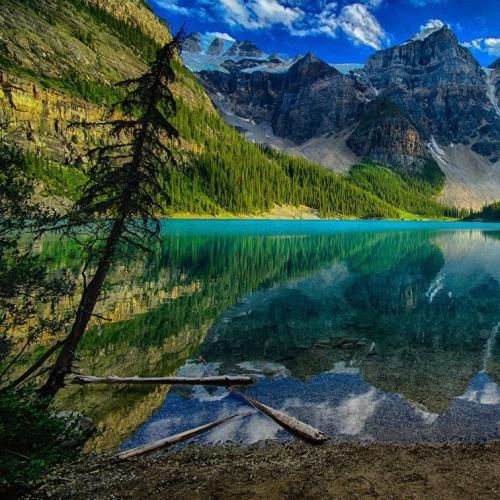  نبود نرمال واسم حست مثل شب اول مستیت