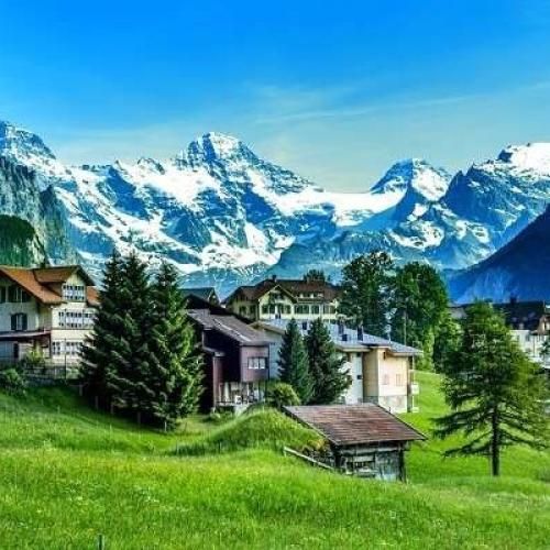  حاضری بریم بیا بیا فرفری جونم