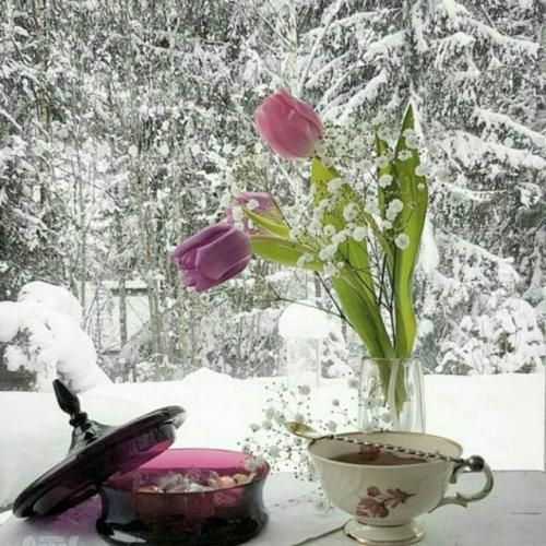  گل سرخ بوسه رو رو لبای من بذار