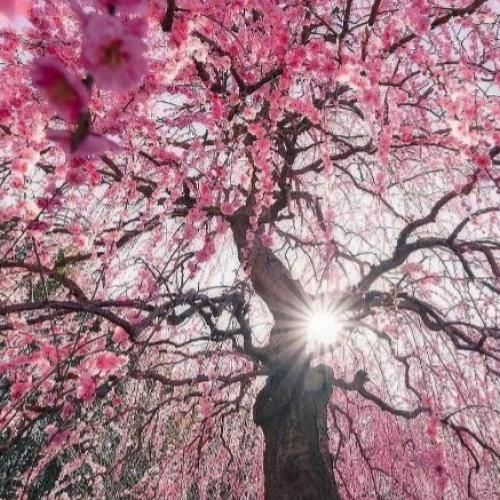 تگرگ بیاد سنگ بیاد نمیتونه حال منو بد کنه