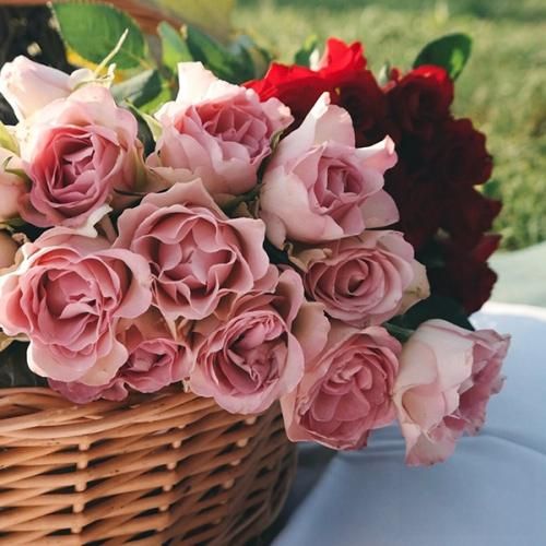  زنده میشه خاطره هاش دوباره مچمو میخوابونه