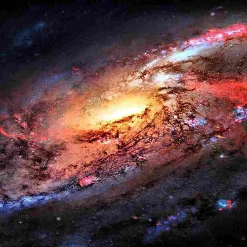فاطمه عطایی زندگی