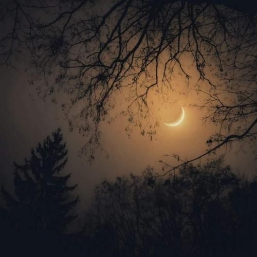 دانلود آهنگ بهرام و علی سورنا بنام گرگ و میش