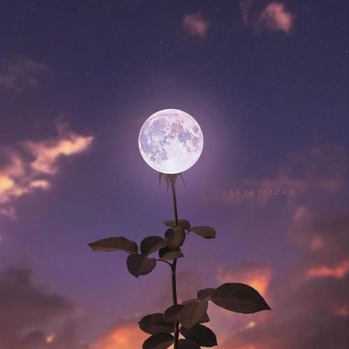 نفس سوغاتی