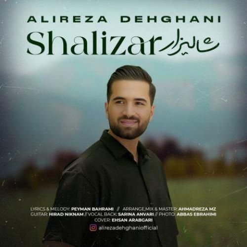 علیرضا دهقانی شالیزار