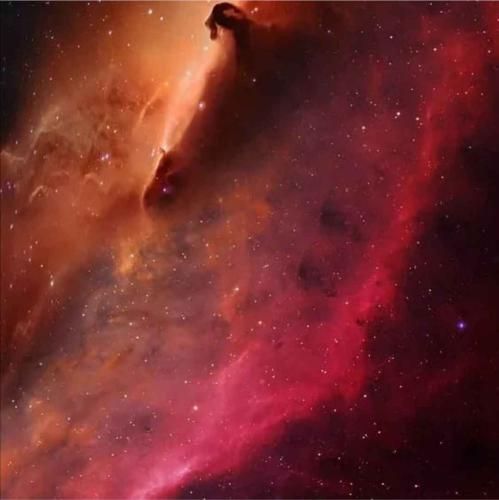 نمیخواستم ازم دورشی چیکار کردن که مجبورشی