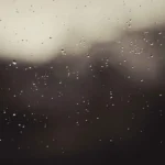 آخرین نامه فرووال
